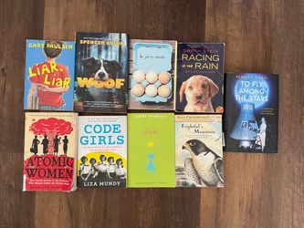 Chapter books - 17 books