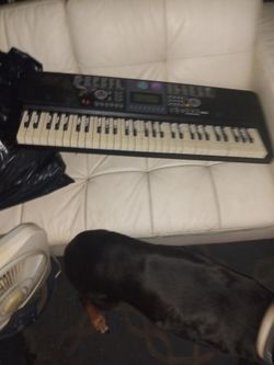 Dual Organ Teaching System