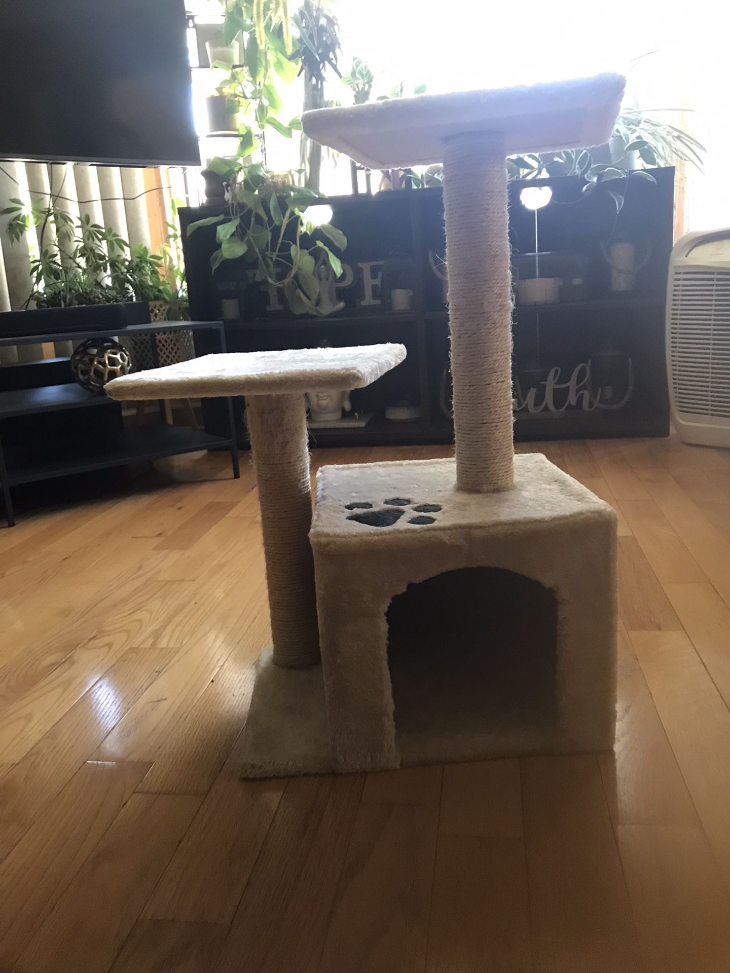 Cat Tree And Scratcher