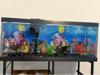 Table with fish tank . Mesita con pesera