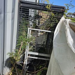 Large Bird Cage