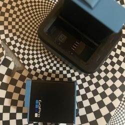 2  GoPro  Batteries And Charger 