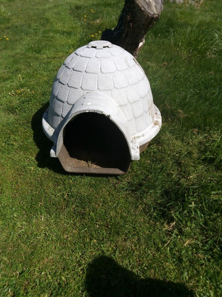 Medium Dog House 