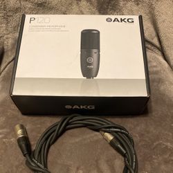 Mike AKG P120