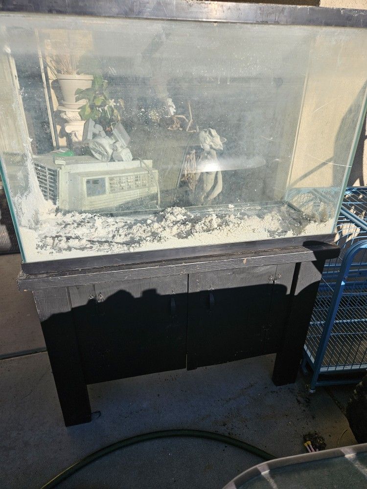 Fish Tank