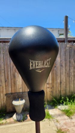 Punching Bag. Everlast Core Reflex