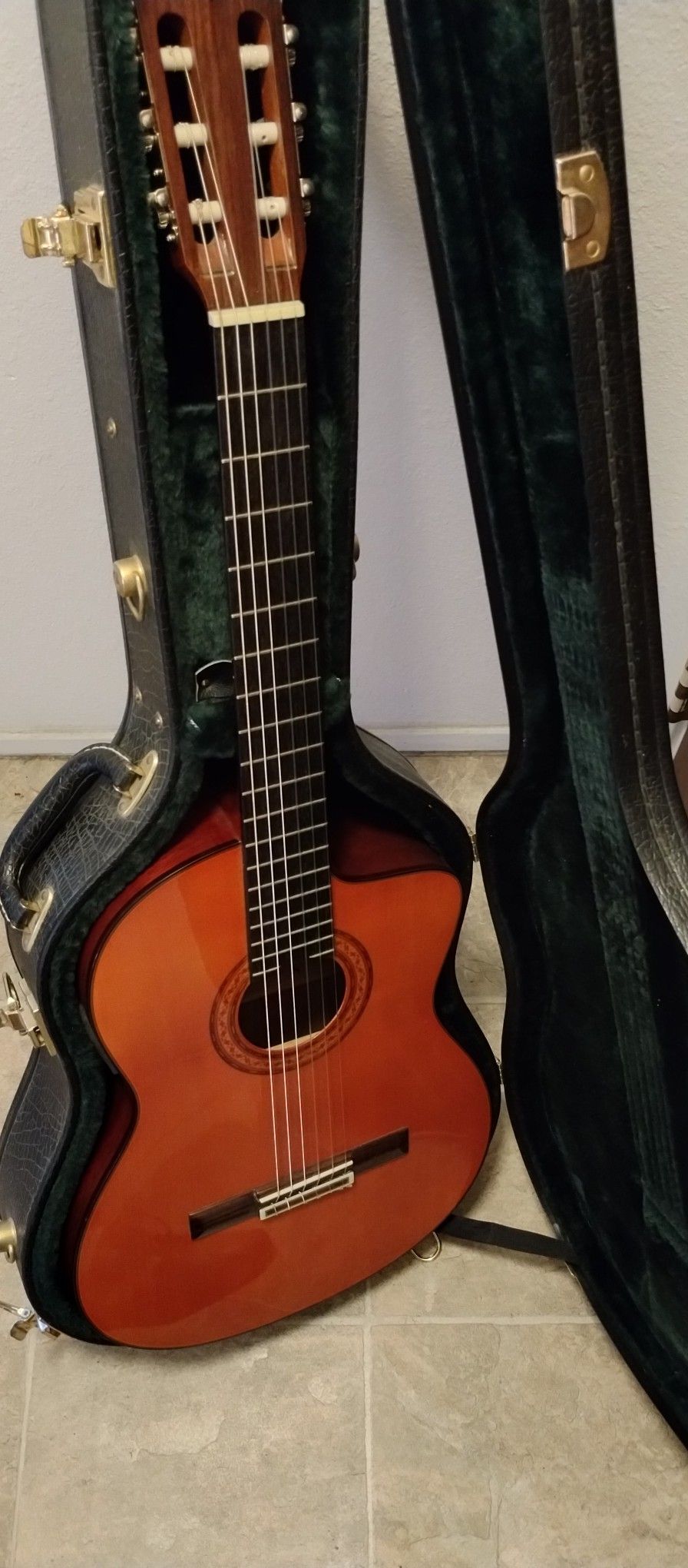Alvarez Acoustic-Electric Guitar