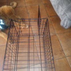 Dog Kennel Cage