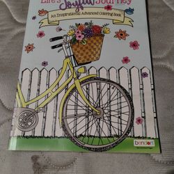 Life's Joyful Journey: An Inspirational Advanced Coloring Book