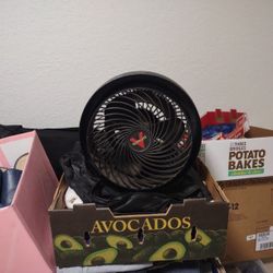 Portable fan