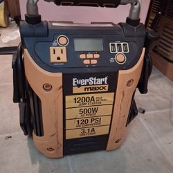 Everstart Battery 