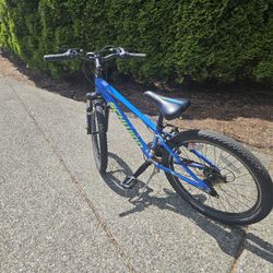 Schwinn Bike