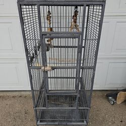 Bird & Dog Cages