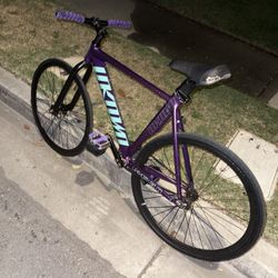 Unknown Singularity Fixie