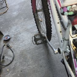 Female Bike 