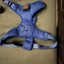  Medium dog harness, 10 bucks