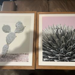 Frames 