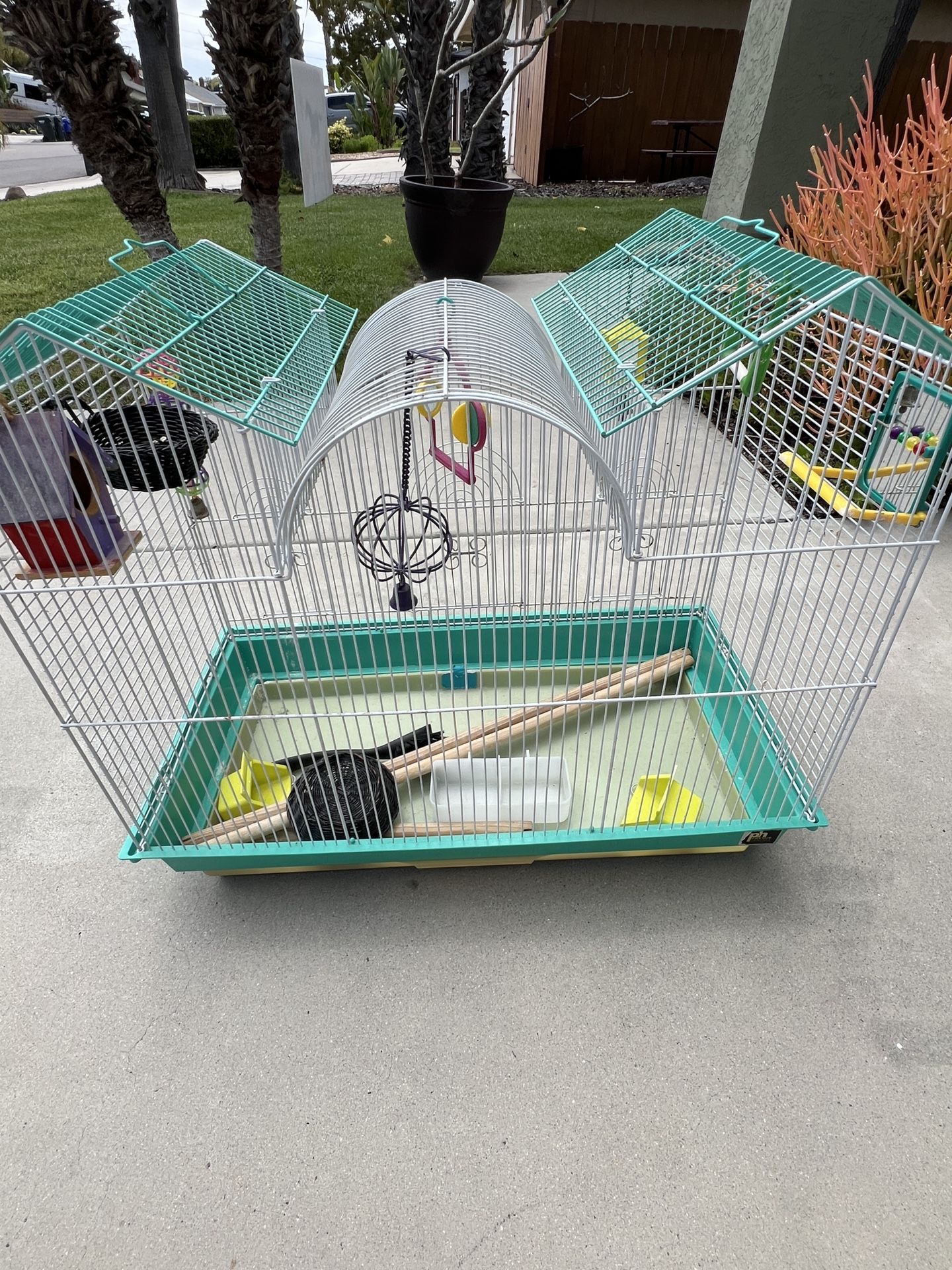 Bird Cage