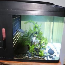 32 Bio cube Fish Tank Aquarium 