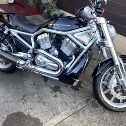 2006 Harley Davison VSRCR Street Rod