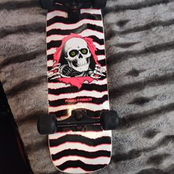 Powell Peralta Skateboard 
