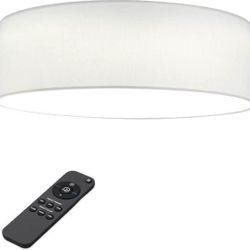 Sleek Flush Ceiling Light w/ Remote