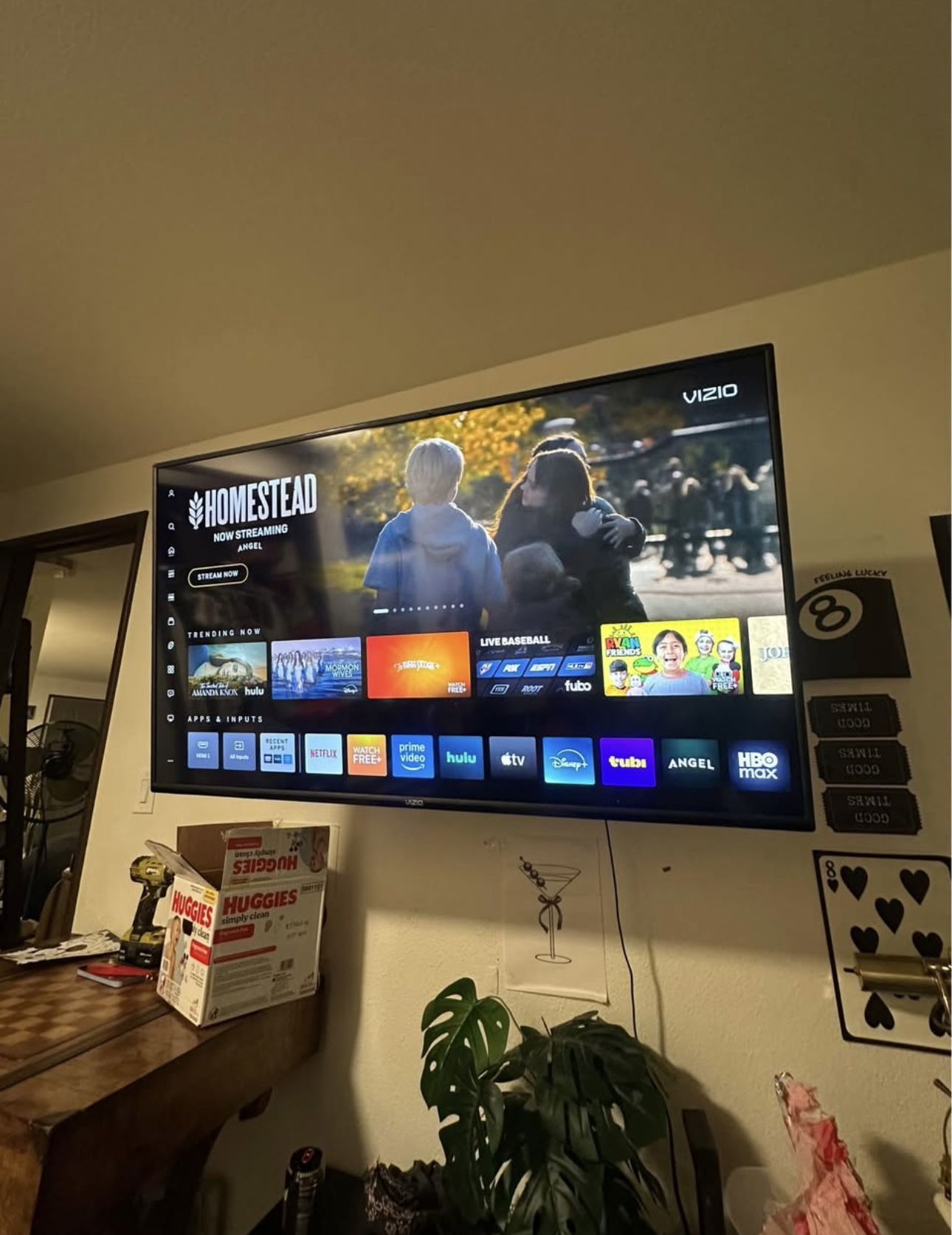vizio 50 Inch Smart Tv and Mount