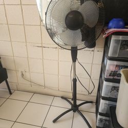 Fan