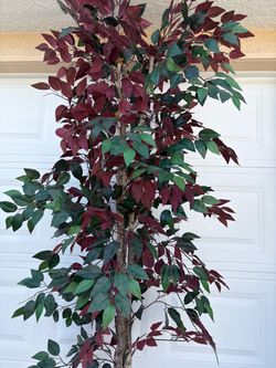 Tall 8 ft Artficial  plant