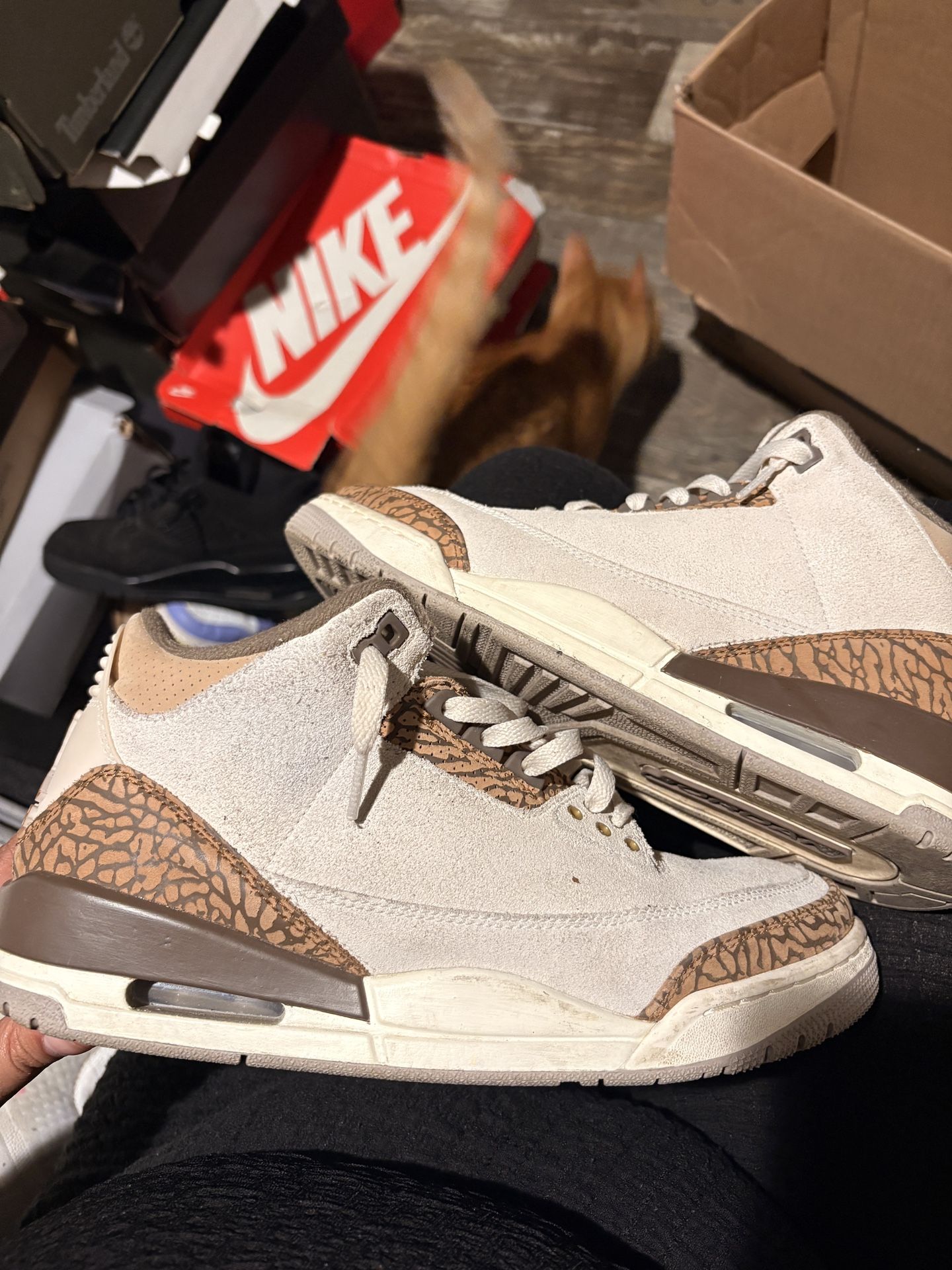 Men’s Jordan’s Size 8