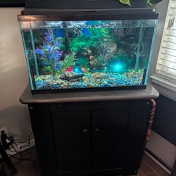 29 Gallon Aqueon Fish Tank