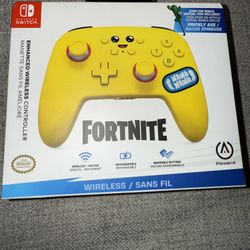 Nintendo Switch Controller 