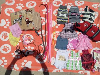 Small Dog accessories +