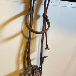 Hackamore bridle