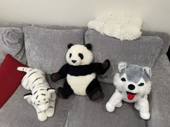 Stuffed Animals