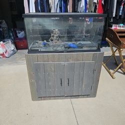 40 Gallon Tank with Custom Stand