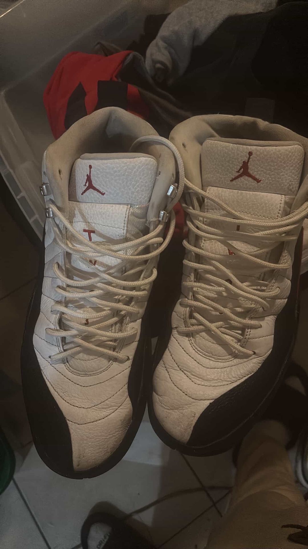 Jordan 12 (Size 12)