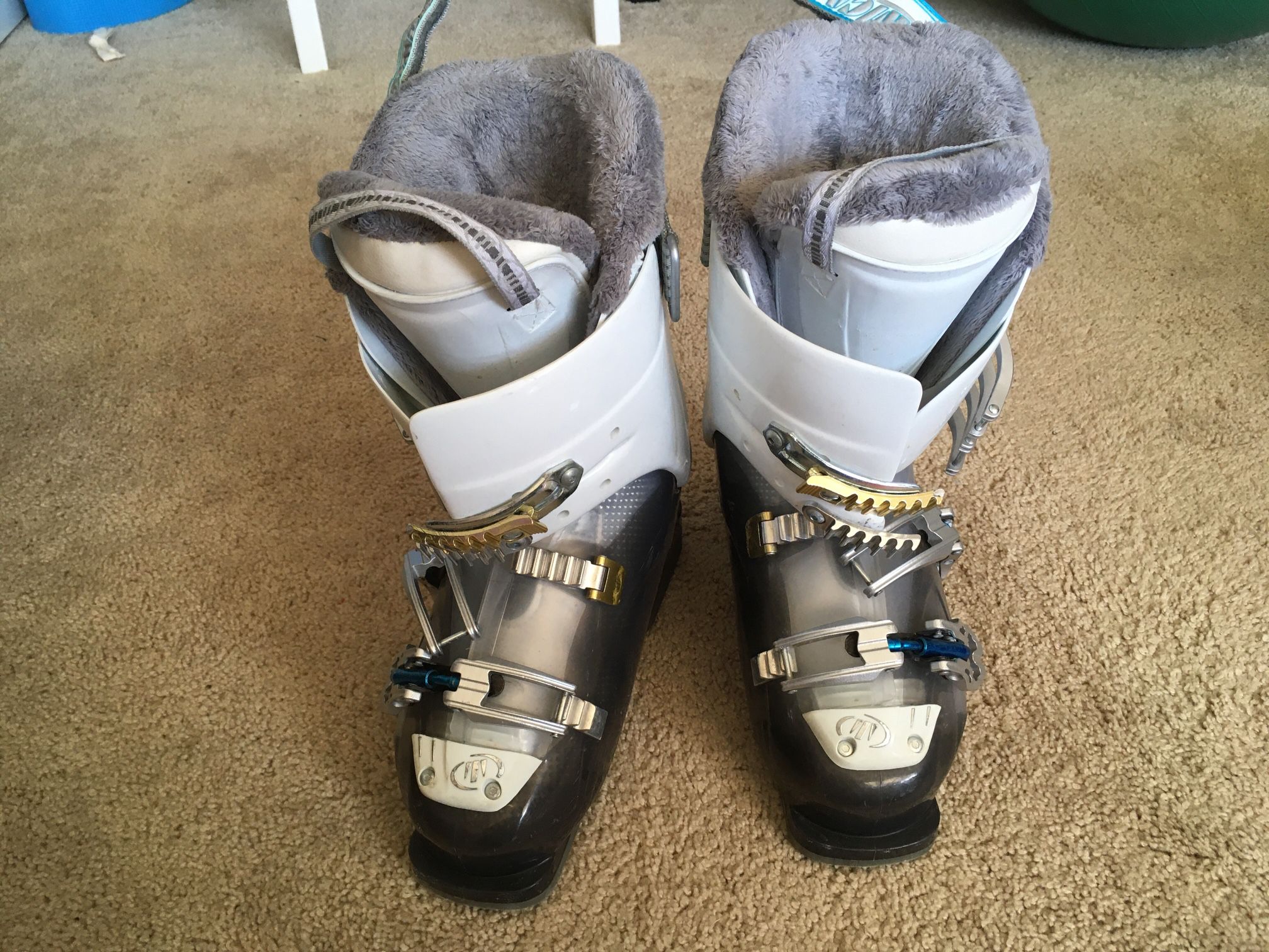 Tecnica Viva Ski Boots 245 Shoe Size 6.5