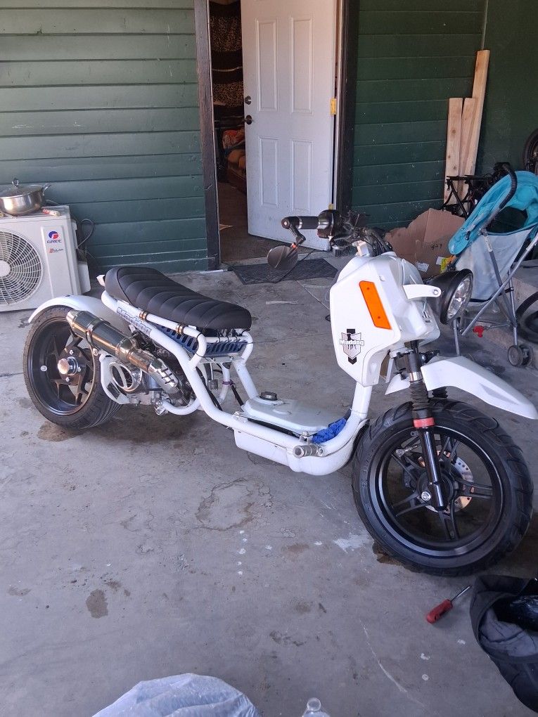 Ice Bear Maddog Scooter