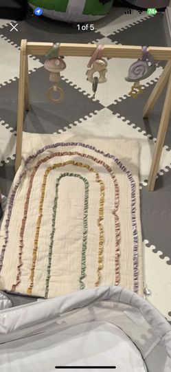 Itzyritzy Activity Gym -  Like New 