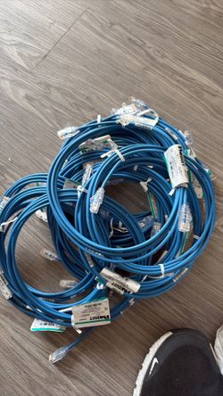 Cat 6 10 ft