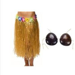 Hula Skirt And Coconut Bra