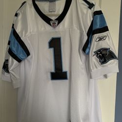 Cam Newton l Authentic Carolina Panthers Jersey I NFL players NFL infield 