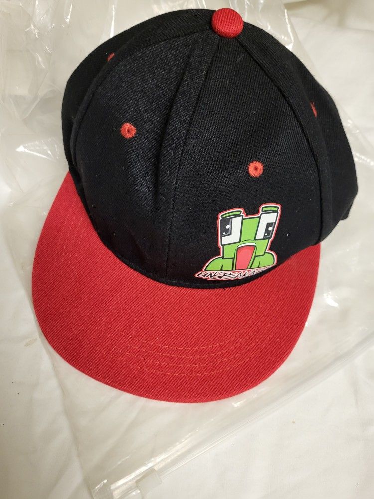 Unspeakable Adjustable Youth Hip Hop Frog Hat Flat Brim, Breathable