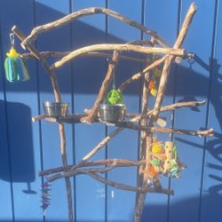 African Grey- Amazon Parrot Perch Tree - Heaven For Your Mr Feathers ! 💯