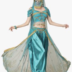 Jasmine Jazmine/Aladdin Costume