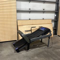 Horizon Treadmill