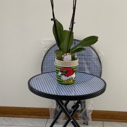 Foldable Accent Patio Table Blue Checkered Glass Top Black Frame