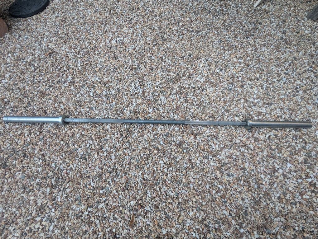 Rogue Echo Bar Olympic Barbell