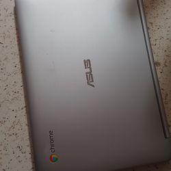 Asus Notebook Laptop